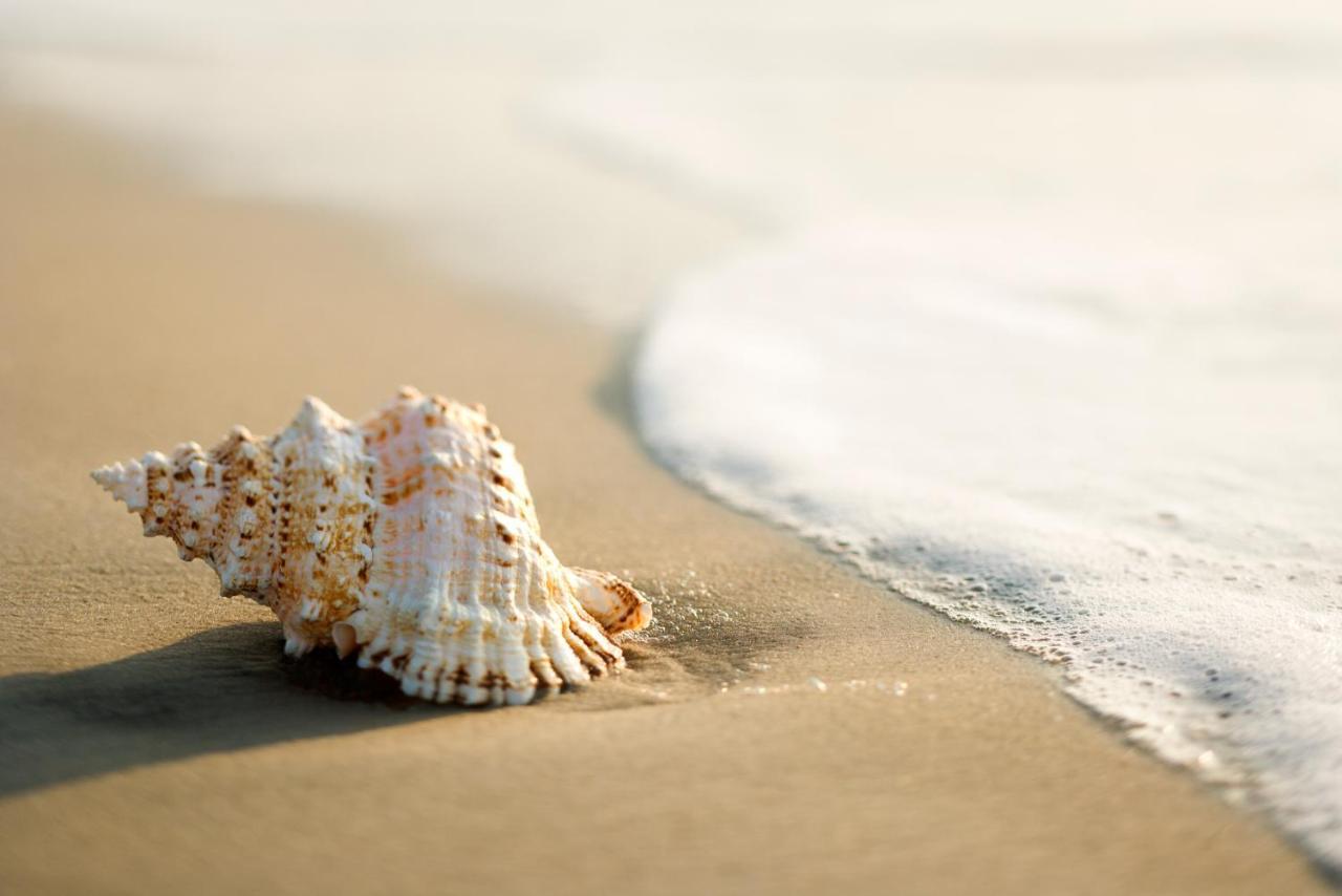Hotel Canasta Riccione Dış mekan fotoğraf